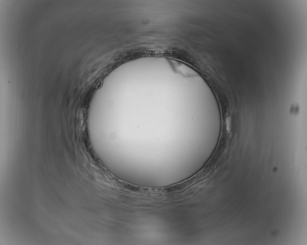 X0000112791347200908210928