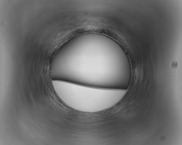 X0000112791348200908210928