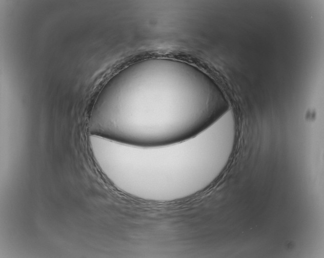 X0000112791349200908210928