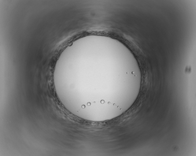 X0000112791350200908210928