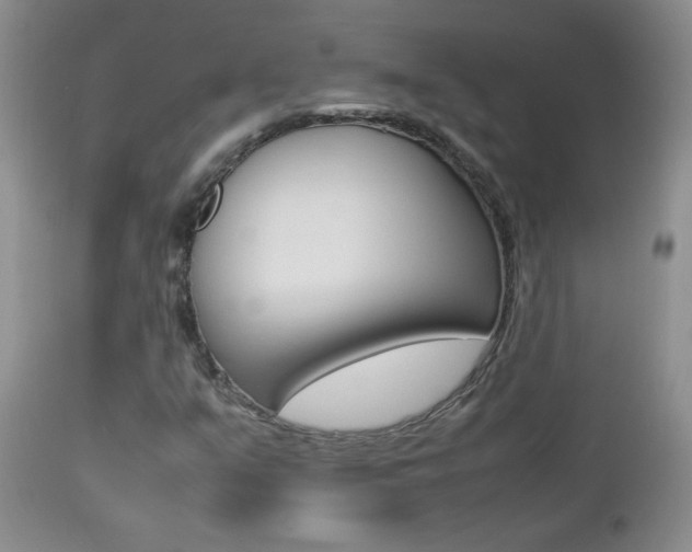 X0000112791351200908210928