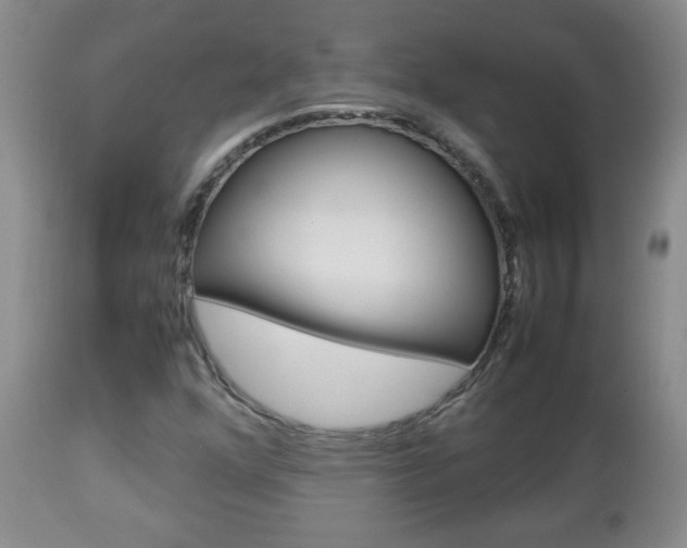 X0000112791352200908210928