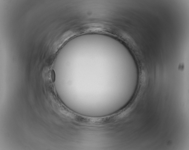 X0000112791353200908210928
