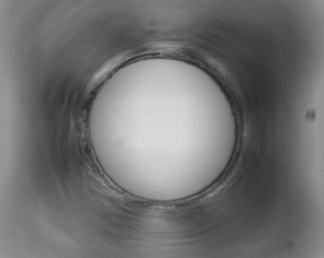 X0000112791354200908210928