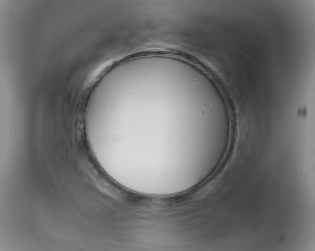 X0000112791355200908210928