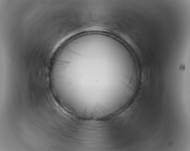 X0000112791356200908210928