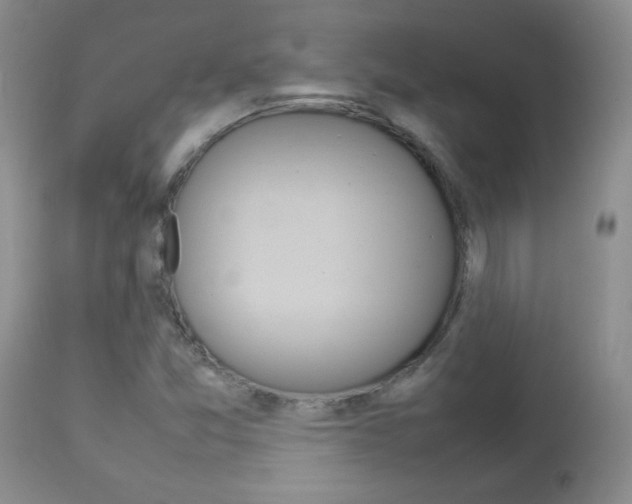X0000112791357200908210928
