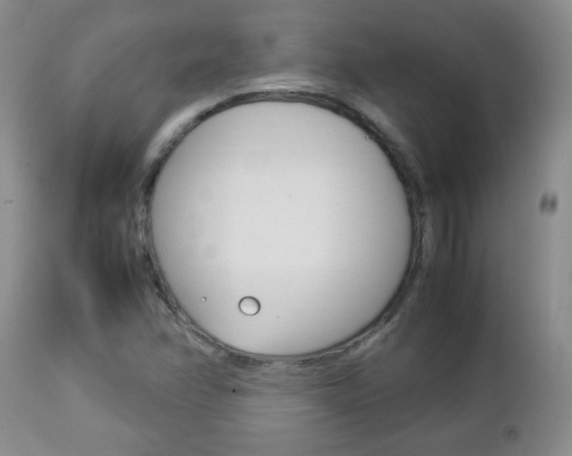 X0000112791358200908210928