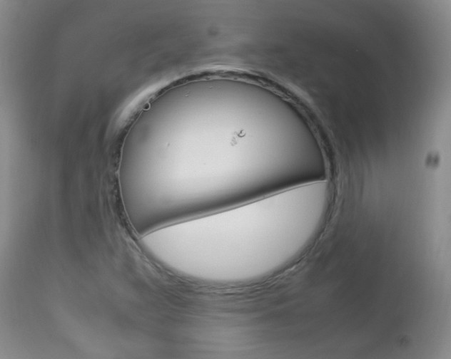 X0000112791359200908210928