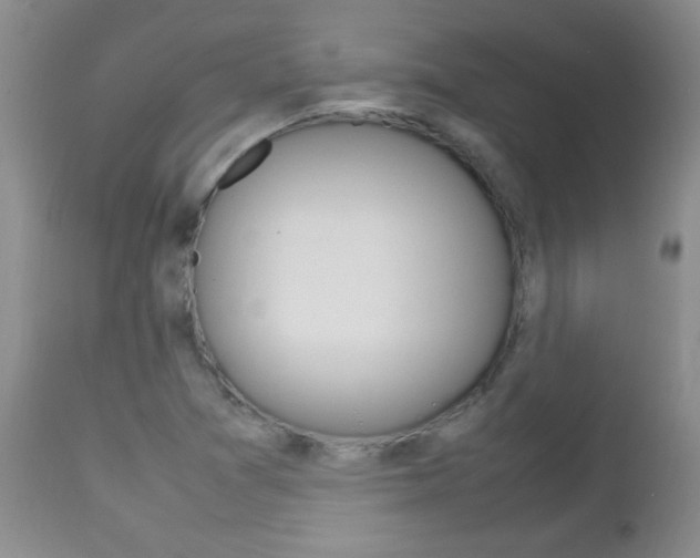 X0000112791361200908210928