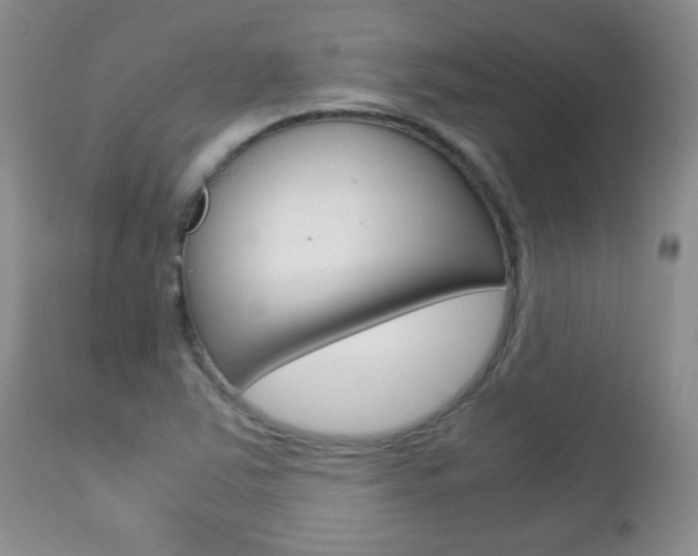 X0000112791363200908210928
