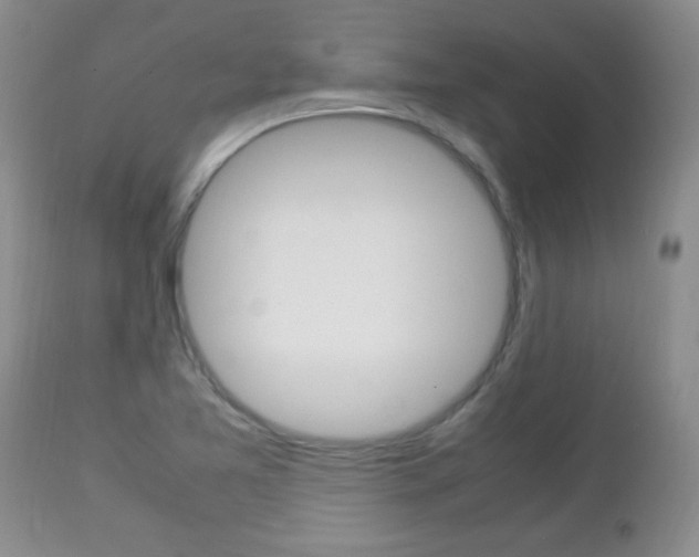 X0000112791365200908210928
