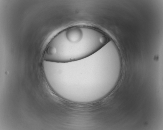 X0000112791367200908210928