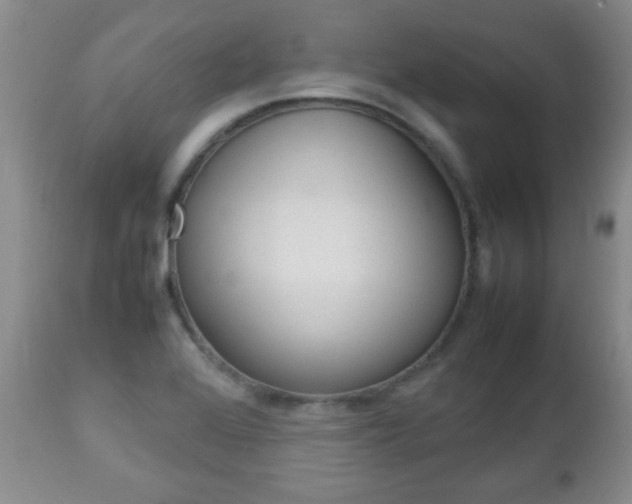 X0000112791368200908210928