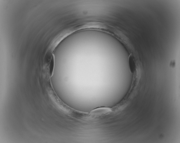 X0000112791369200908210928