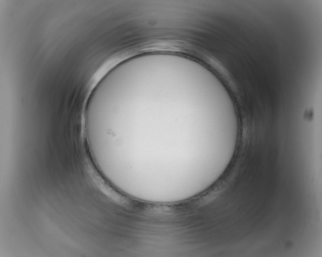 X0000112791370200908210928