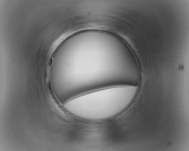 X0000112791371200908210928