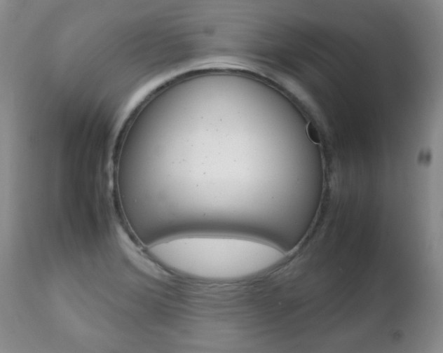 X0000112791372200908210928