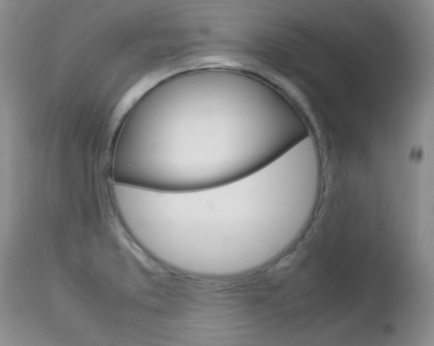 X0000112791373200908210928