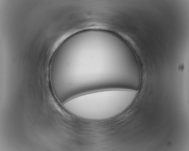 X0000112791375200908210928