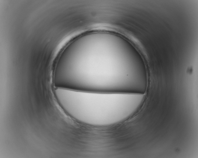 X0000112791376200908210928