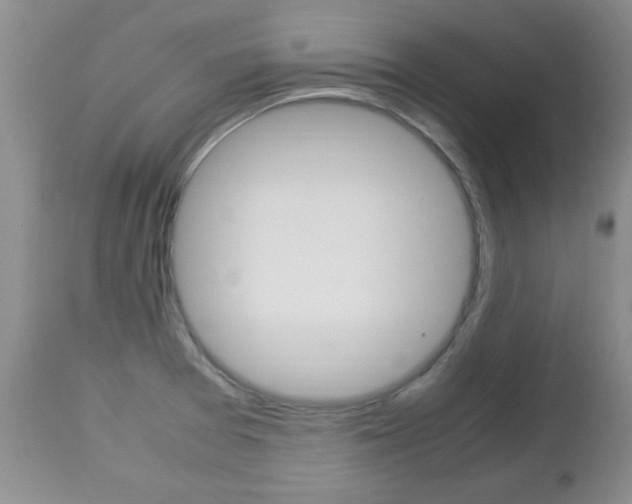 X0000112791377200908210928