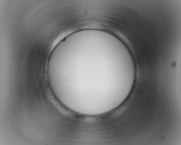 X0000112791378200908210928