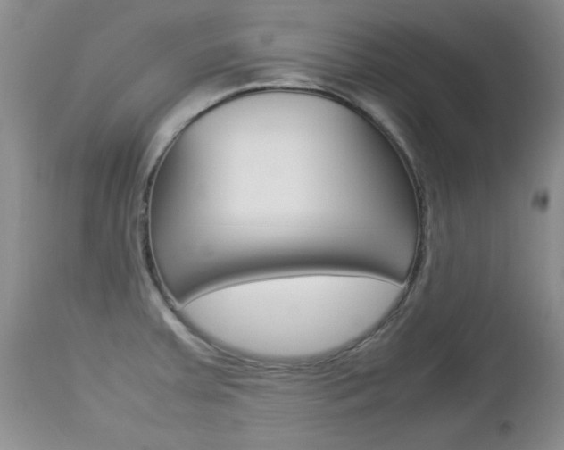 X0000112791379200908210928