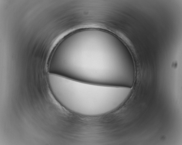 X0000112791380200908210928