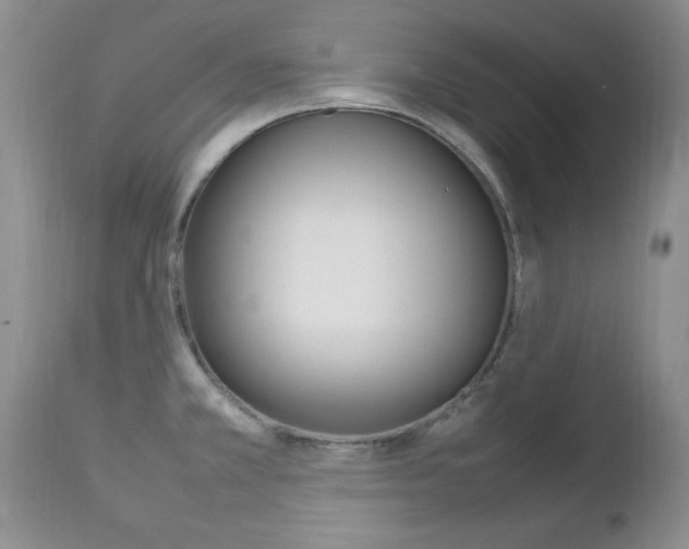 X0000112791381200908210928