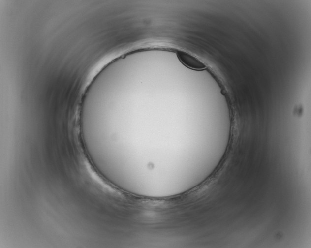 X0000112791382200908210928