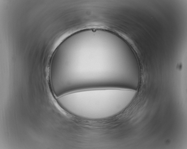 X0000112791383200908210928