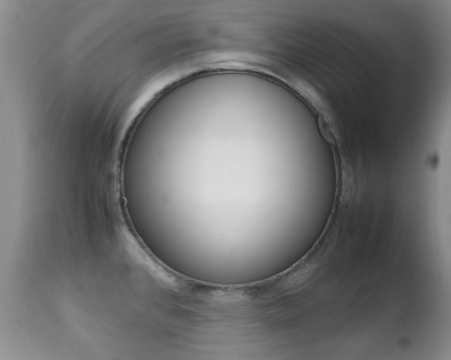 X0000112791384200908210928