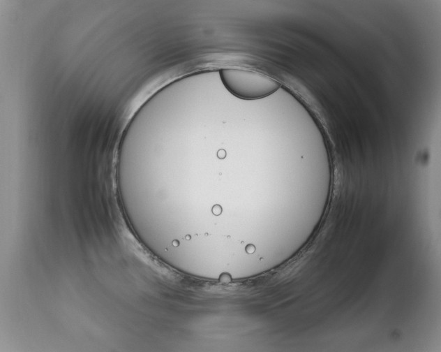 X0000112791386200908210928