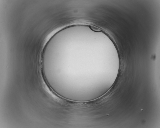 X0000112791387200908210928