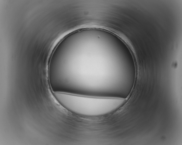 X0000112791388200908210928