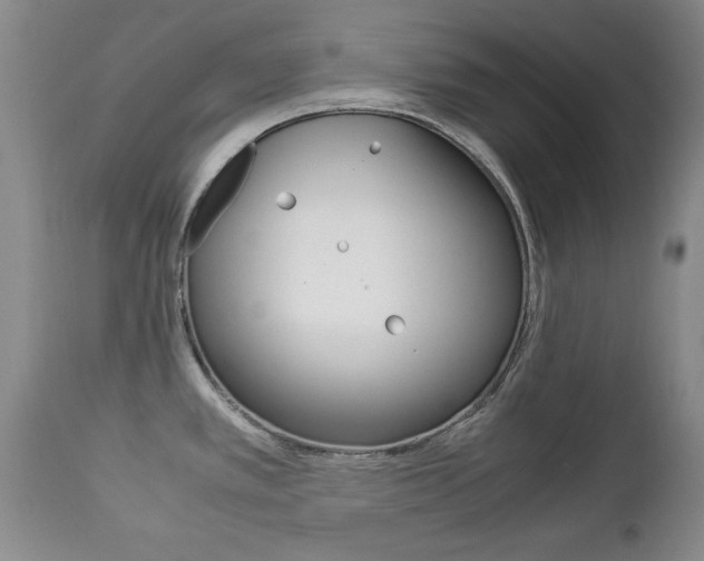 X0000112791389200908210928