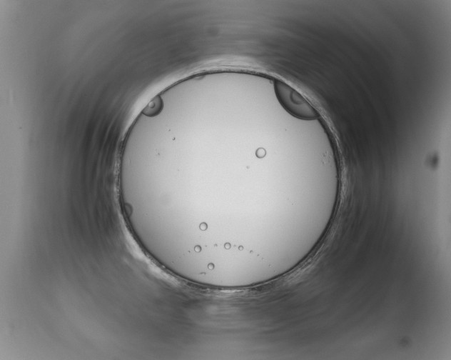 X0000112791390200908210928