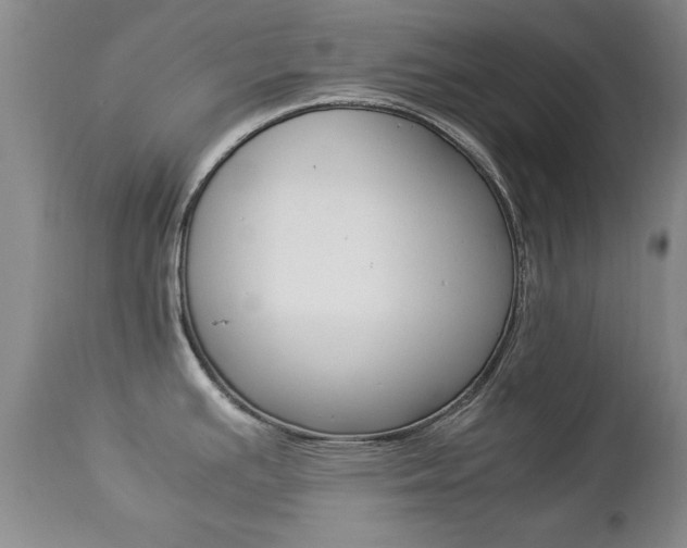 X0000112791391200908210928