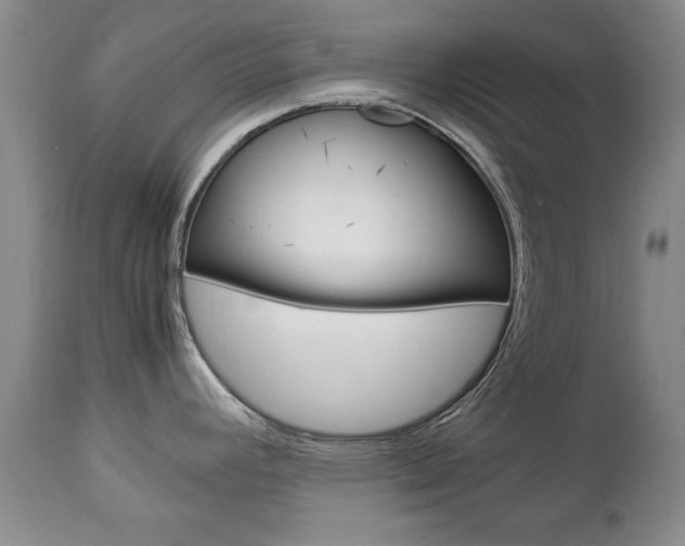 X0000112791392200908210928