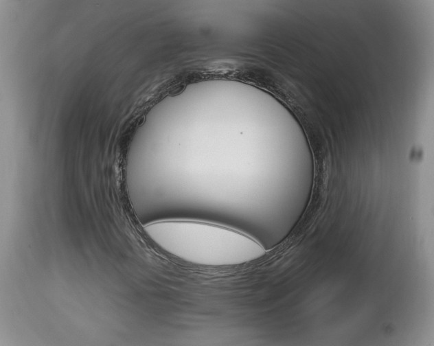 X0000112791394200908210927