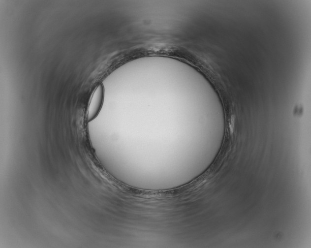 X0000112791396200908210927