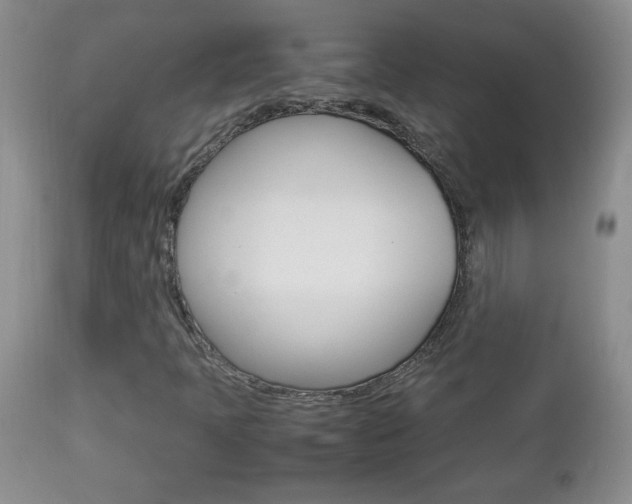 X0000112791397200908210927