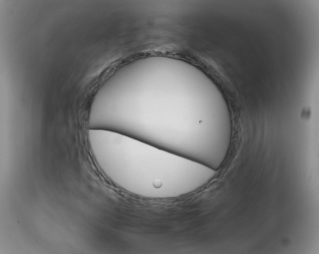 X0000112791399200908210927