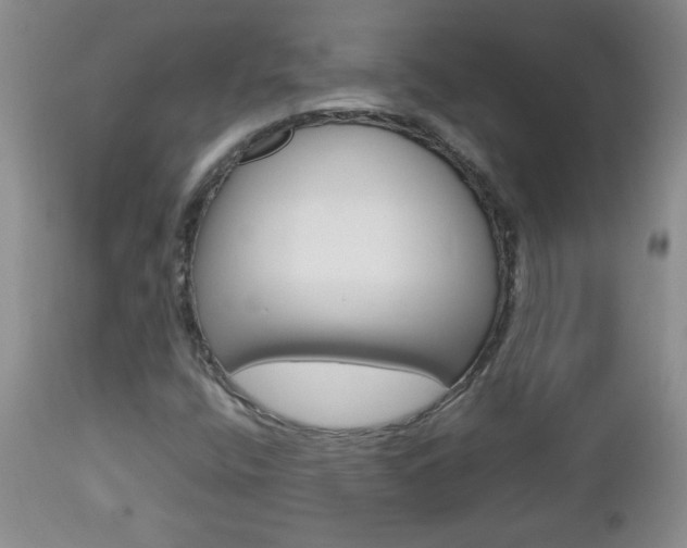 X0000112791400200908210927