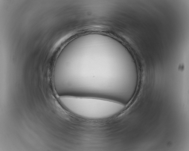 X0000112791402200908210927