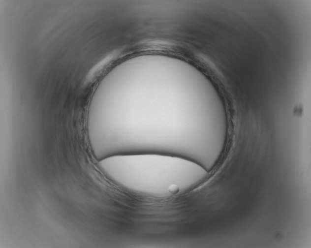 X0000112791403200908210927