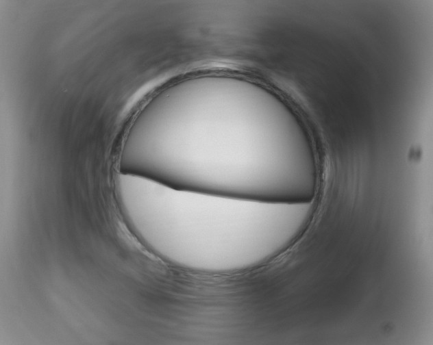 X0000112791404200908210927