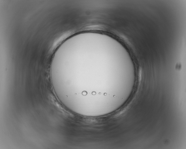 X0000112791405200908210927