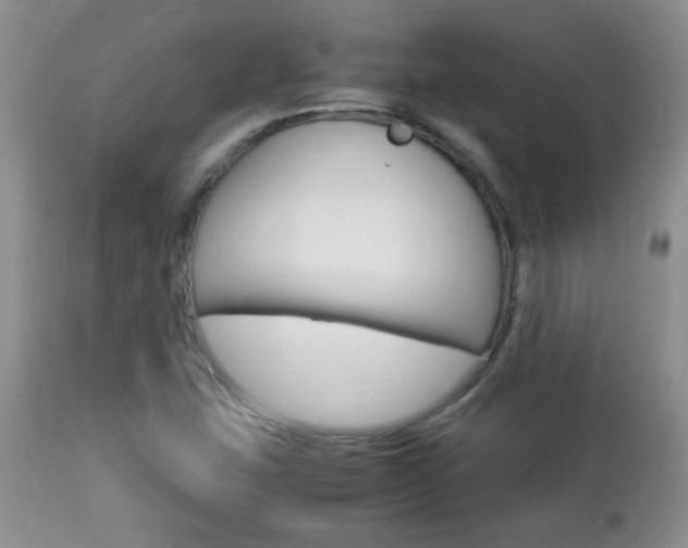 X0000112791407200908210927